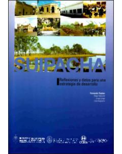 Suipacha: Reflexiones y datos para una estrategia de desarrollo