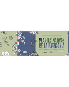 Plantas nativas de la Patagonia: Saberes de los pobladores locales y usos de la estepa arbustiva del Golfo San Jorge