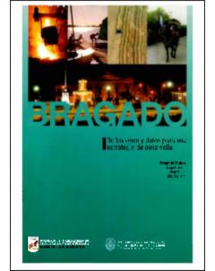 Bragado: Reflexiones y datos para una estrategia de desarrollo
