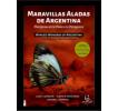 Maravillas aladas de Argentina: Mariposas de la Puna a la Patagonia