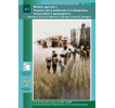 Modelo agrícola e impacto socioambiental en la Argentina: monocultivo y agronegocios