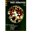 Plan Estratégico Tres Arroyos: Modelo de desarrollo: ejes estratégicos, programas, medidas, acciones
